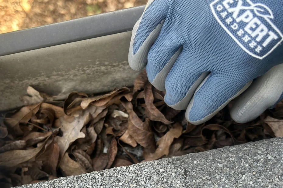 Gutter Cleaning Port Allen