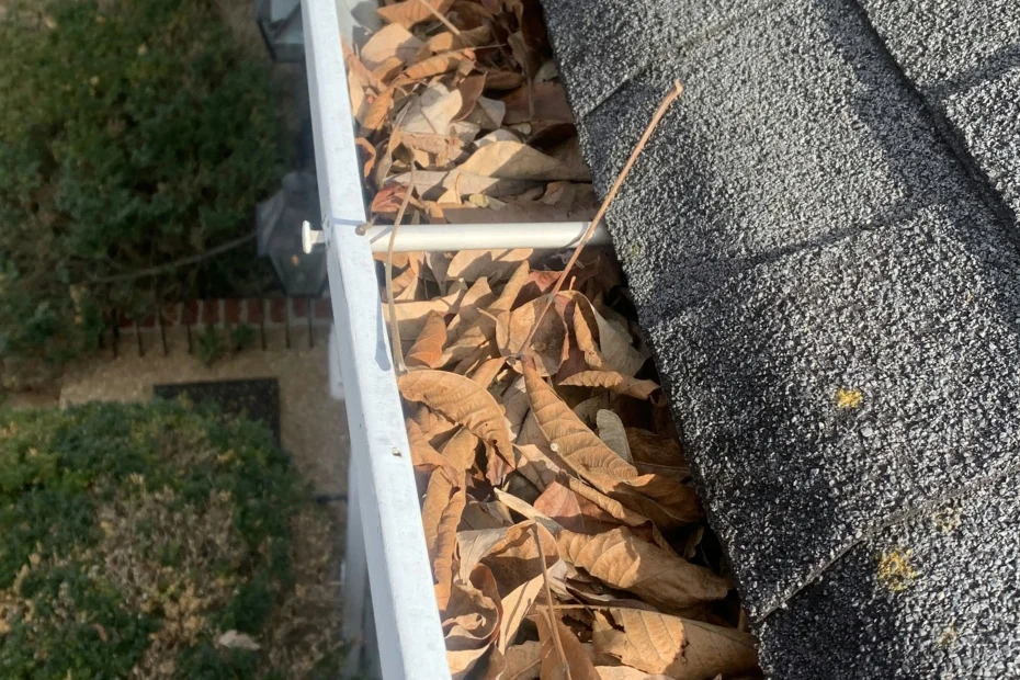 Gutter Cleaning Port Allen