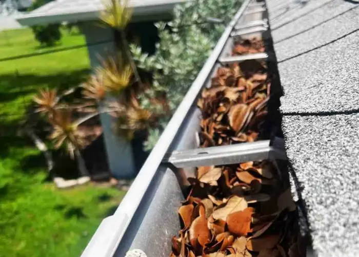 Gutter Cleaning Port Allen home page